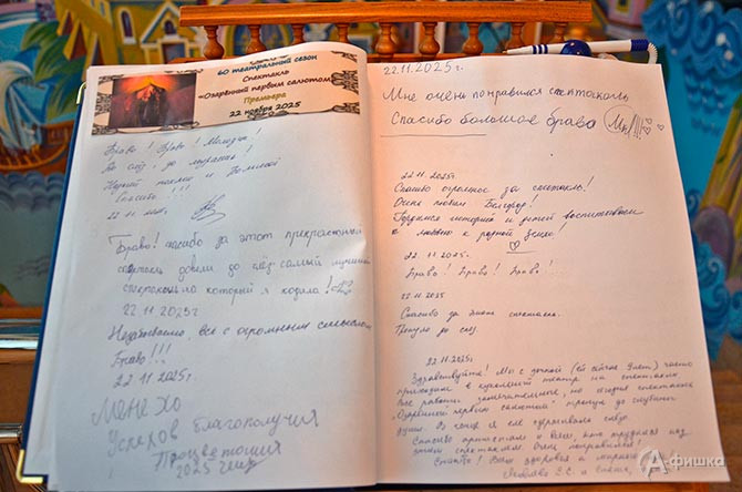 Книга отзывов о спектакле &laquo;Озарённый первым салютом&raquo; в Белгородском театре кукол