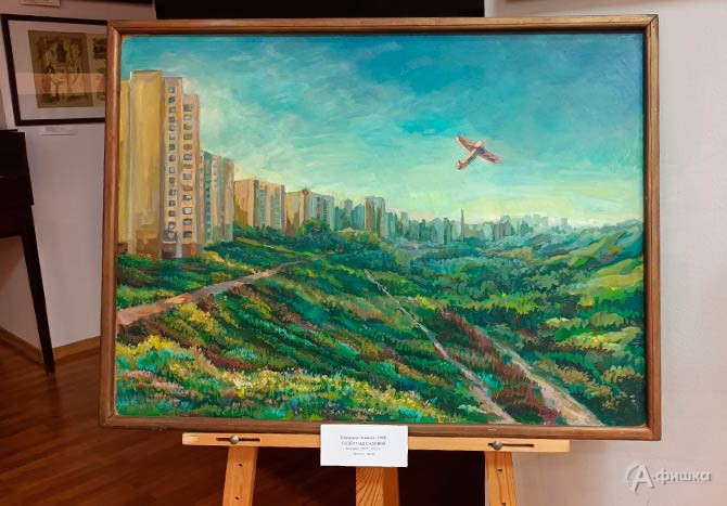 Е. Планида &laquo;Полёт над Садовой&raquo;