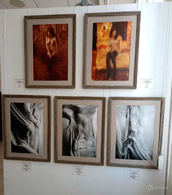 Фотографии Евгения Корниенко