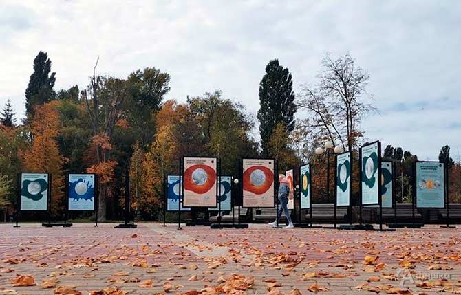 Выставка Банка России «Драгоценный мир живой природы» доступна в белгородском парке Победы