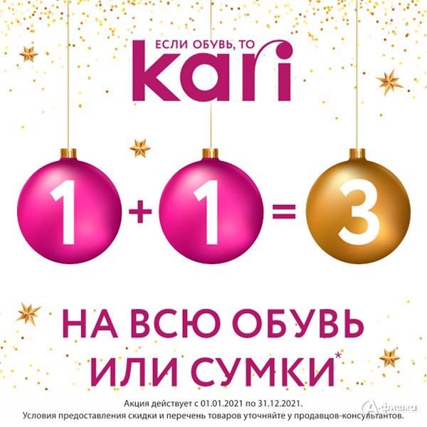 1+1=3 В «Kari»