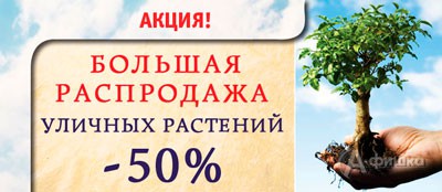 Скидки на уличные растения в «Доме цветов»