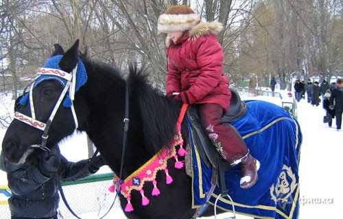Катание на пони – любимое занятие белгородской детворы