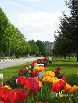 Весна в городе (фото Бондаренко В.)