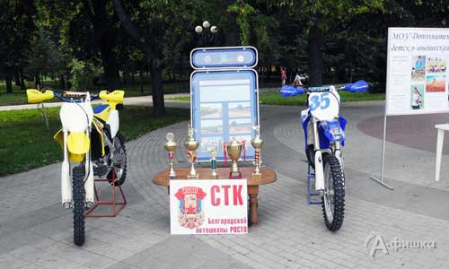 Фестиваль спорта в Парке Победы Белгорода