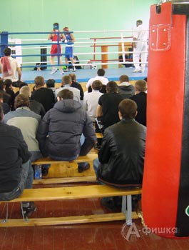 В Белгороде открылся новый зал зал бокса «Чемпион»