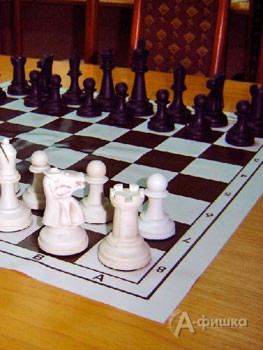 В Белгороде завершилось первенство ЦФО по классическим шахматам