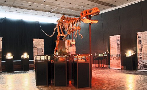 Центральной фигурой выставки «Мир динозавров» является монтированный скелет хищного динозавра тарбозавра (фото с официального сайта музея)