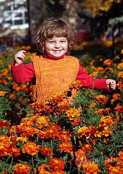 «Оранжево-рыжее счастье» Михаила Меденцева