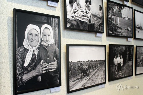 В Белгороде открылась фотовыставка «Божковы: два поколения»
