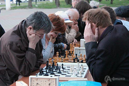Шахматные баталии под открытым небом: Библионочь в Белгородской универсальной научной библиотеке